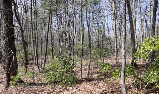 Photo #14 of Off Misty Acres Lane, Meadows of Dan, VA 4.9 acres