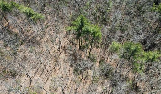 Photo #15 of Off Misty Acres Lane, Meadows of Dan, VA 4.9 acres