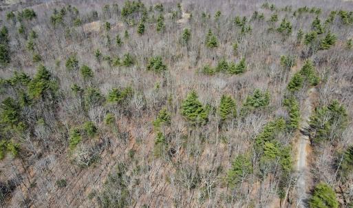 Photo #16 of Off Misty Acres Lane, Meadows of Dan, VA 4.9 acres