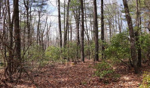 Photo #17 of Off Misty Acres Lane, Meadows of Dan, VA 4.9 acres
