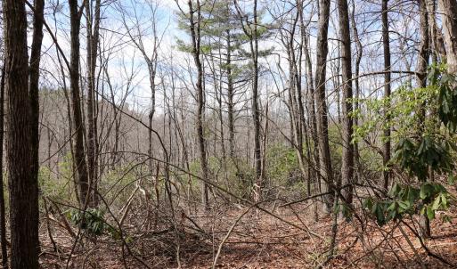 Photo #18 of Off Misty Acres Lane, Meadows of Dan, VA 4.9 acres