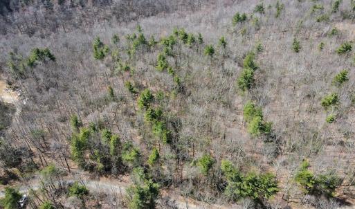 Photo #19 of Off Misty Acres Lane, Meadows of Dan, VA 4.9 acres