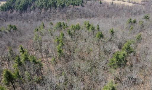 Photo #5 of Off Misty Acres Lane, Meadows of Dan, VA 4.9 acres