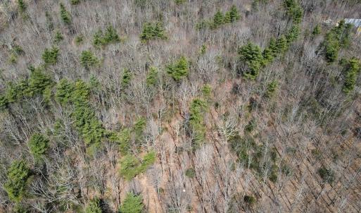 Photo #6 of Off Misty Acres Lane, Meadows of Dan, VA 4.9 acres