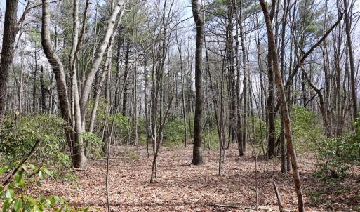Photo #7 of Off Misty Acres Lane, Meadows of Dan, VA 4.9 acres