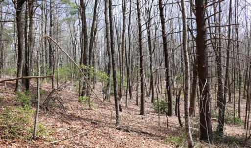 Photo #8 of Off Misty Acres Lane, Meadows of Dan, VA 4.9 acres