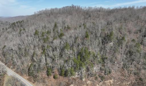 Photo #1 of Off Helen Henderson Highway, Honaker, VA 21.0 acres