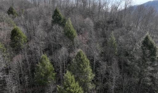 Photo #2 of Off Helen Henderson Highway, Honaker, VA 21.0 acres