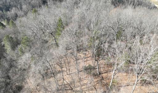 Photo #4 of Off Helen Henderson Highway, Honaker, VA 21.0 acres
