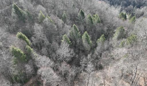 Photo #5 of Off Helen Henderson Highway, Honaker, VA 21.0 acres
