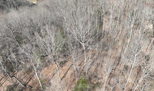Photo #6 of Off Helen Henderson Highway, Honaker, VA 21.0 acres