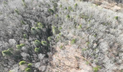 Photo #18 of Off Helen Henderson Highway, Honaker, VA 21.0 acres