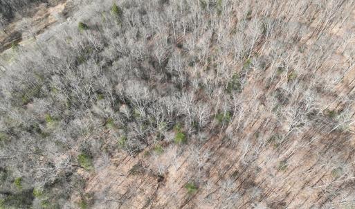 Photo #19 of Off Helen Henderson Highway, Honaker, VA 21.0 acres