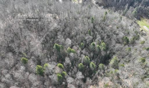 Photo #20 of Off Helen Henderson Highway, Honaker, VA 21.0 acres