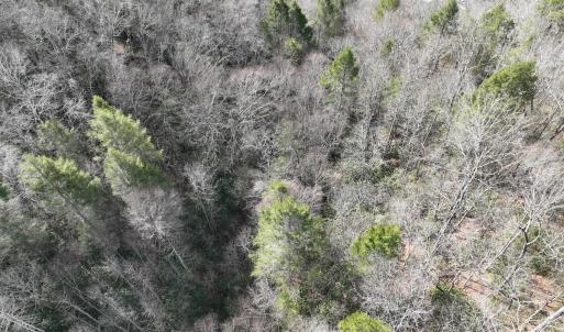 Photo #21 of Off Helen Henderson Highway, Honaker, VA 21.0 acres