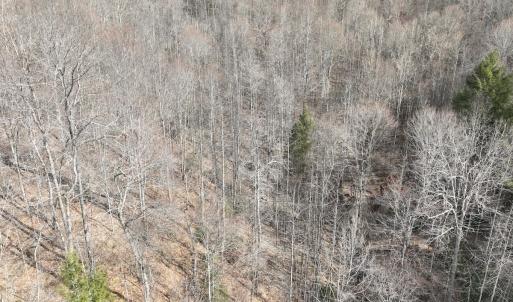 Photo #22 of Off Helen Henderson Highway, Honaker, VA 21.0 acres
