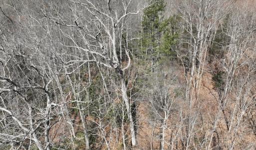 Photo #23 of Off Helen Henderson Highway, Honaker, VA 21.0 acres