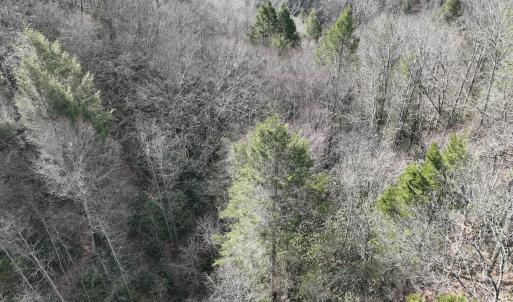 Photo #24 of Off Helen Henderson Highway, Honaker, VA 21.0 acres