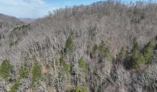 Photo #25 of Off Helen Henderson Highway, Honaker, VA 21.0 acres