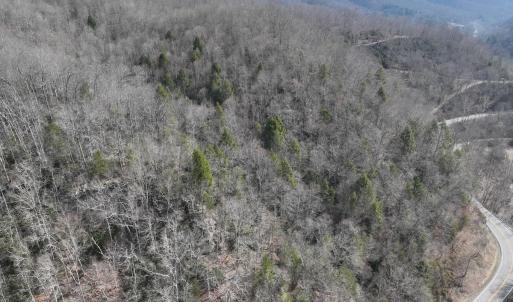 Photo #29 of Off Helen Henderson Highway, Honaker, VA 21.0 acres