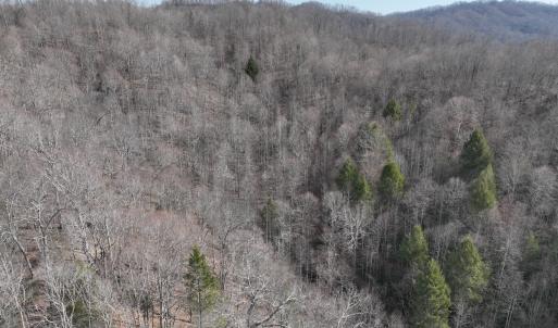 Photo #30 of Off Helen Henderson Highway, Honaker, VA 21.0 acres