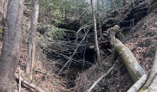 Photo #36 of Off Helen Henderson Highway, Honaker, VA 21.0 acres