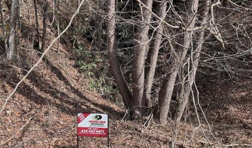 Photo #37 of Off Helen Henderson Highway, Honaker, VA 21.0 acres