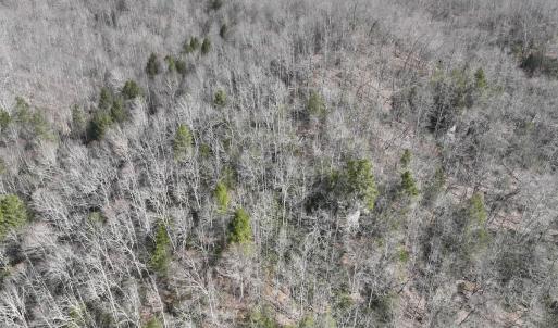 Photo #14 of Off Helen Henderson Highway, Honaker, VA 21.0 acres