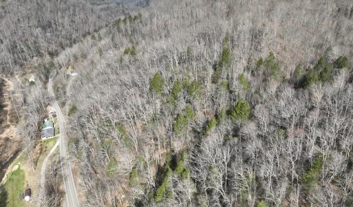 Photo #15 of Off Helen Henderson Highway, Honaker, VA 21.0 acres