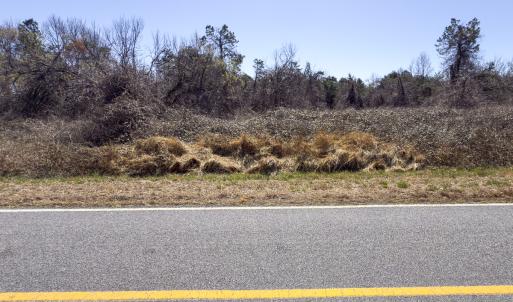 Photo #9 of Lot-5, Off Goodman Road, Pelham, NC 7.4 acres