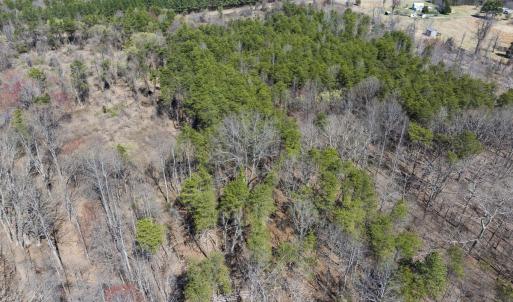 Photo #10 of Lot-5, Off Goodman Road, Pelham, NC 7.4 acres