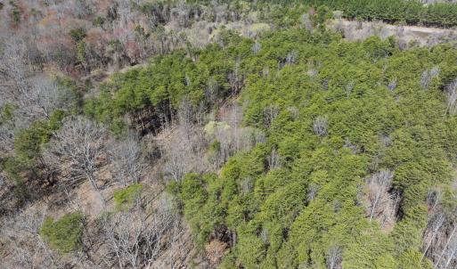 Photo #15 of Lot-5, Off Goodman Road, Pelham, NC 7.4 acres