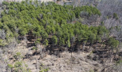 Photo #18 of Lot-5, Off Goodman Road, Pelham, NC 7.4 acres