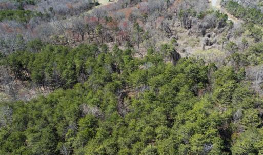 Photo #19 of Lot-5, Off Goodman Road, Pelham, NC 7.4 acres