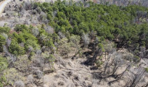 Photo #22 of Lot-5, Off Goodman Road, Pelham, NC 7.4 acres
