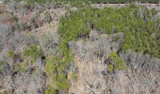 Photo #23 of Lot-5, Off Goodman Road, Pelham, NC 7.4 acres