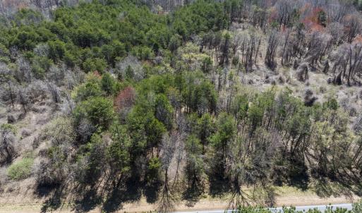 Photo #25 of Lot-5, Off Goodman Road, Pelham, NC 7.4 acres