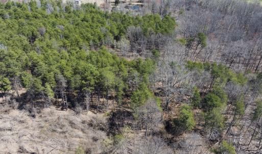 Photo #26 of Lot-5, Off Goodman Road, Pelham, NC 7.4 acres