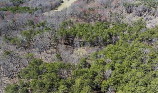Photo #27 of Lot-5, Off Goodman Road, Pelham, NC 7.4 acres