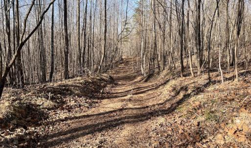 Photo #11 of SOLD property in Off Purcell rd , Reidsville, NC 143.5 acres