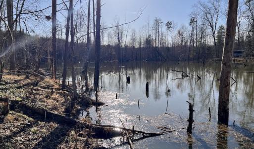 Photo #13 of SOLD property in Off Purcell rd , Reidsville, NC 143.5 acres