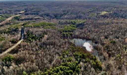 Photo #14 of SOLD property in Off Purcell rd , Reidsville, NC 143.5 acres