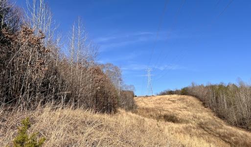 Photo #16 of SOLD property in Off Purcell rd , Reidsville, NC 143.5 acres