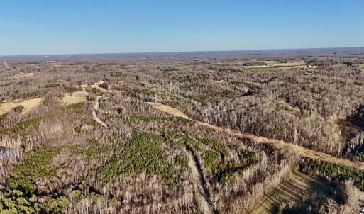 Photo #17 of SOLD property in Off Purcell rd , Reidsville, NC 143.5 acres