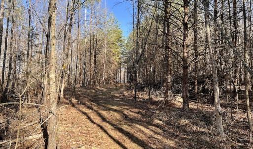 Photo #18 of SOLD property in Off Purcell rd , Reidsville, NC 143.5 acres