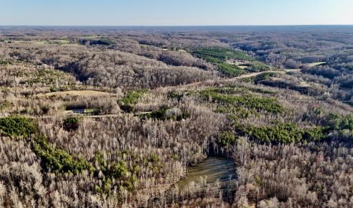 Photo #21 of SOLD property in Off Purcell rd , Reidsville, NC 143.5 acres