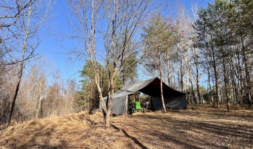 Photo #23 of SOLD property in Off Purcell rd , Reidsville, NC 143.5 acres