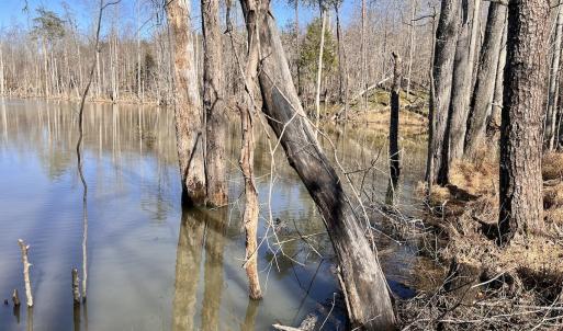 Photo #26 of SOLD property in Off Purcell rd , Reidsville, NC 143.5 acres