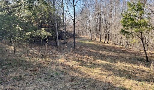 Photo #2 of SOLD property in Off Purcell rd , Reidsville, NC 143.5 acres