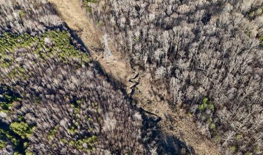 Photo #30 of SOLD property in Off Purcell rd , Reidsville, NC 143.5 acres